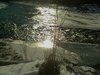 campics 310.jpg